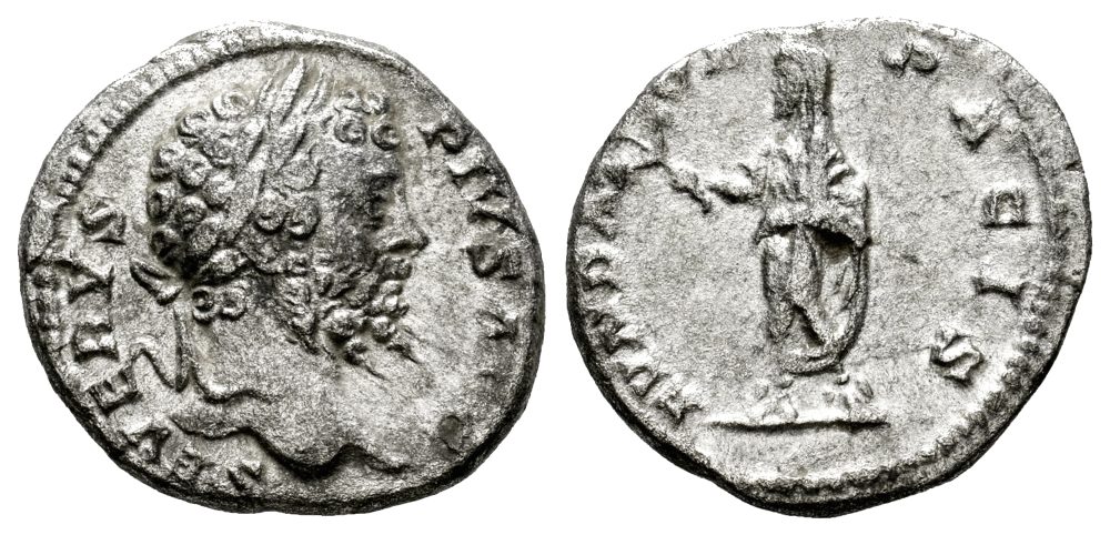 SEPTIMIO SEVERO (DENARIO) 202 al 210 d.C.