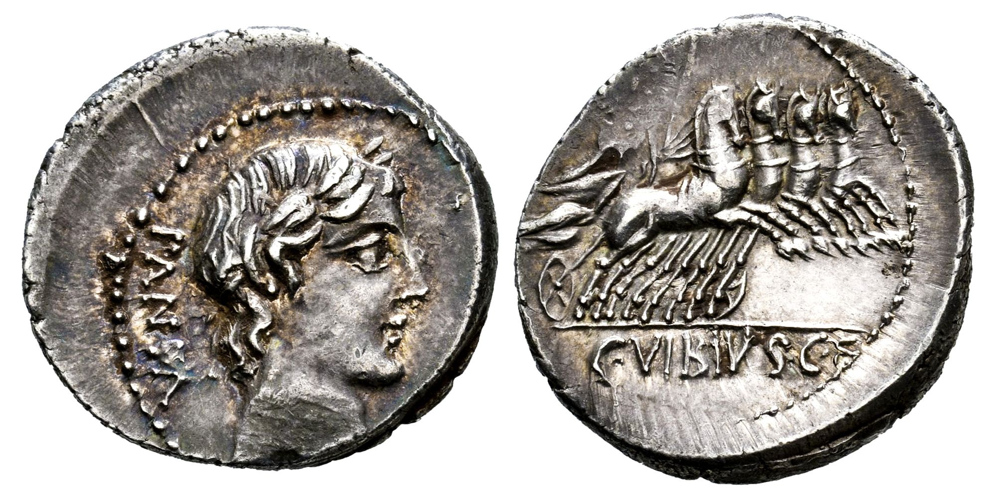 FAMILIA VIBIA (DENARIO) 90 a.C.
